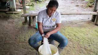 Así realizó el QUESO en el campo🧀😋