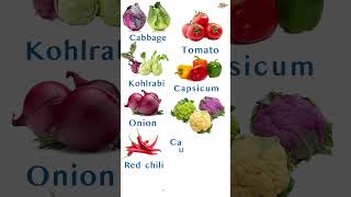 #vegetablelist #short #vegetables #vegetablesname #shortvideo  #kids #learning #fruit #vocabulary