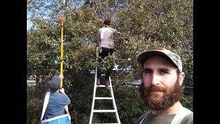 Friends From the Field Webinar- Apple Ecology with Edgar Evenkeel