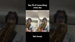 Day 75 of my daily transcribing challenge and I decided to play Wet Hands by C418 #minecraft