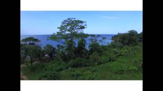 Aerial from Red Frog Villas to Beach on Isla Bastimentos, Bocas deal Toro, Panama