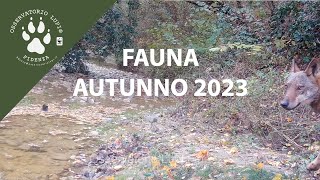 Fauna Autunno 2023