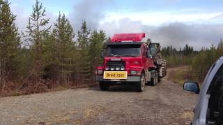 Scania 142H maskintrailerdragare , Timberjack 1710B markberedare