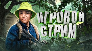 Ищу кишки , что бы согреться!#Дейз #DayZ