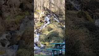 Cascade naturel #shortvideo