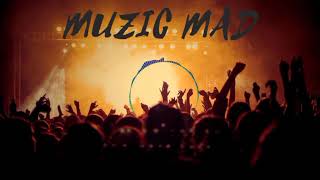 Non copyrighted Vlog Music | Free for any use | MuzicMad Release |