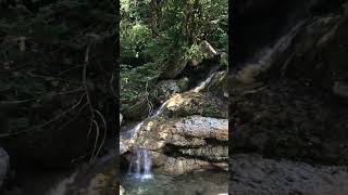 Waterfalls are so amazing 😻 #fypシ #viral #shortvideo #nature #water #waterfall #beautiful #shorts