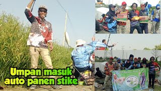 Ternyata sebelah lebih gacor,mancing perdana bandeng marunda empang bang Saipul