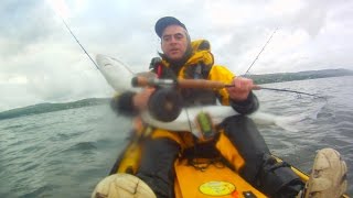 Tope/shark on the fly rod from a kayak