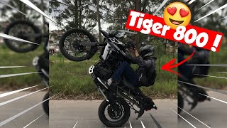 DOMINEI A TIGER 800 NO PRIMEIRO ROLÊ !! Ft. @Tavares160