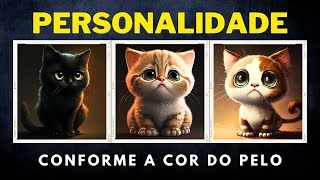 💛PERSONALIDADE DOS GATOS CONFORME A SUA COR // [Gatos Curiosidades]