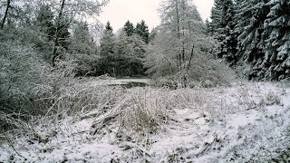 Winter im Steinwald - Teil 1