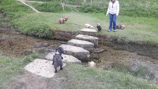 Cold kirby  Flassen Dale  Nettle Dale Walk Cleveland way North Yorkshire UK