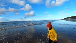 Beach Walk with The Bear 🐻🌊