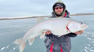 WE ARE BACK IN MONTANA!! | Smashing Big Lake Trout On Fort Peck