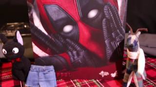 the ONLY %@#&ING Hot Toys 1/6 DeadPool video review you will ever need to see!