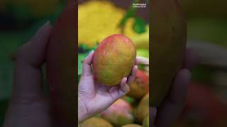 Special Mango Offers عروض المانجو المميزة