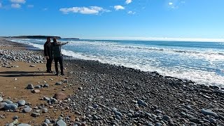 The Arctic Surf Clam from Bedford | WE ARE THE BEST