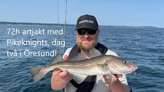 72h artjakt, torsk och plattfisk i Öresund.