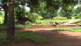 360° Geo Reportage Uganda - Der Weg zum Fahrradtaxi