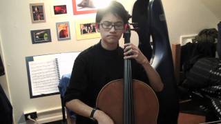 For Steve Jobs - Bach Cello Suite No. 5: Sarabande