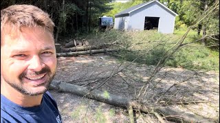 Dropping some pines on the property- Today’s Project! - 100th VIDEO!!!