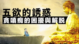 貪嗔癡的困擾與解脫之道。貪心 | 五欲  | 欲望  |  煩惱 | 因緣和合