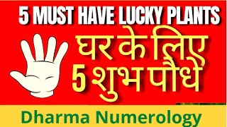 5 Plants For Health & Wealth in Home | Dev Sharrma  #numerology #free #vastu #vastutips