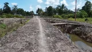 pak rebo transmigran yg bertahan berhasil menyulap lahan nya full dengan tanaman transmigrasi