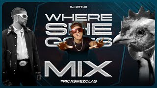 🔵 MIX WHERE SHE GOES [REGGAETON 2023 / ANTIGUAS] | DJ RITMO