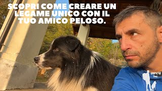 Scopri come creare un legame unico con il tuo amico peloso.