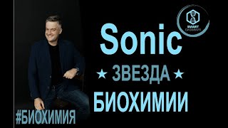 SmartLearn: Дмитрий Косенков "Sonic - звезда биохимии"