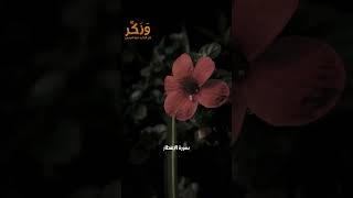 سورة الانفطار الآيات من 10 إلى 18 بصوت القارئ ماهر المعيقلي #حالات واتس  #quran #shorts