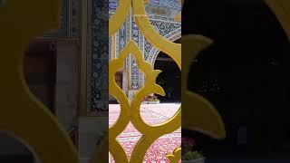 شعبان الاحساس - ملا علي الوائلي الكربلائي #مولد_الأقمار