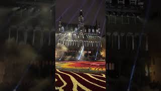 Live Belgium Flower Carpet Light Show - Grand Place 2024