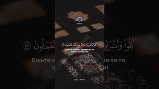 Коран это лучшее что у нас есть! Слушайте Коран каждый день #quran #аллахбудетстобой