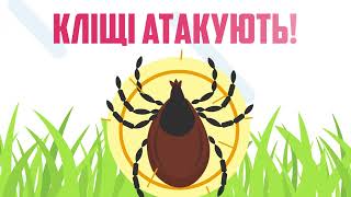 Бореліоз. Сезон кліщів. Аналізи Одеса. Лабораторія Артмедіуз.