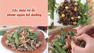 Các Món Ốc Thơm Ngon Bổ Dưỡng