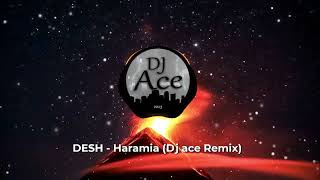 DESH - Haramia (Dj Ace Remix)