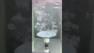 23 Coarse Bubble Diffuser