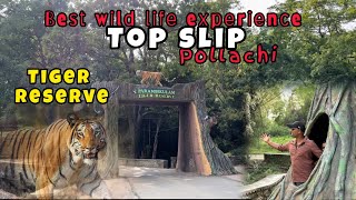 Top slip pollachi road trip | safari | tiger reserve #topslip #kerla #trending #tigerreserve