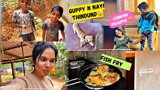 Anty na meen fry tule 😍 | chinchu na meen n nayi thinthunu | DV 472