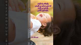 #الكتاب_المقدس #اية_اليوم