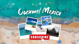 Discover the Ultimate Family Fun in Cozumel! (Top Activities & Attractions)