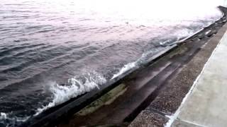 161114 West End  seawall of Lake Pontchartrain with something mysterious racing along the bottom ste