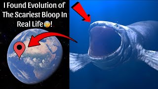 EVOLUTION OF BLOOP on Google Earth!