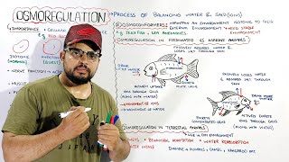 Osmoregulation: Osmoregulators & Osmoconformers (Osmoregulation in freshwater, marine & terrestial)