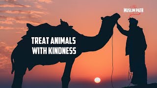 Treat animals with kindness - Kindness to Animals