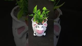 Waste material craft ideas/ Waste broken cup planter craft #diy #craftideas #shorts #viral #short