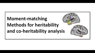 Moment-matching Methods for heritability and co-heritability analysis